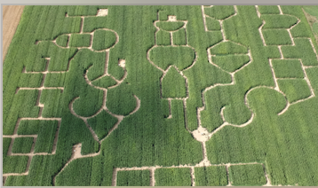 Labyrinthes de Coutances